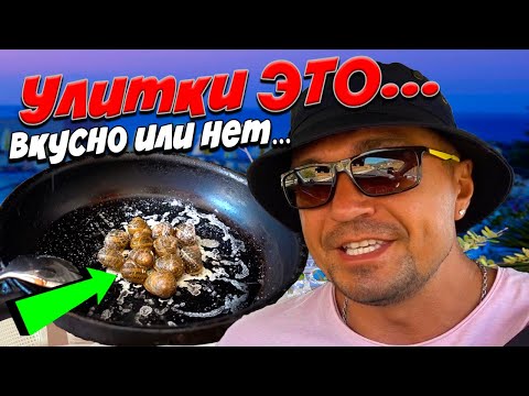 Видео: Как правильно готовить Улитки дома. Ферма улиток в Греции.