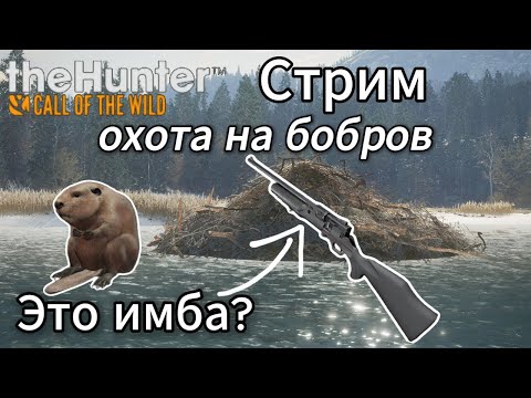 Видео: Охота на бобров в ASKIY RIDGE. theHunter: Call of the Wild