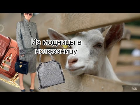 Видео: Вызвали срочно в комиссионку.осторожно козы‼️личный интерес в деревне @ludmila Sandrino tour