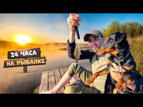 Видео: 24-Часа на рыбалке! На поплавочные удочки на карася