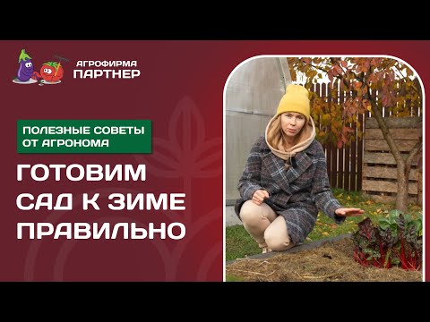 Видео: ПОСЛЕДНИЕ САДОВЫЕ РАБОТЫ В НОЯБРЕ. ГОТОВИМ САД К ЗИМЕ ПРАВИЛЬНО