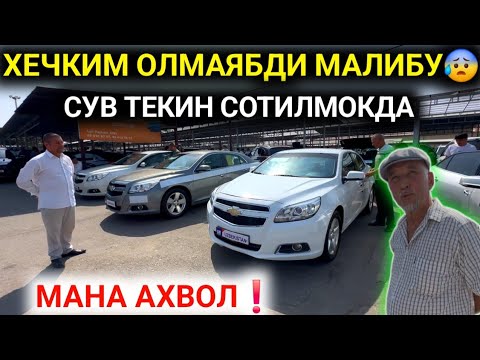 Видео: 12-СЕНТЯБР МАЛИБУ КАПТИВА НАРХЛАРИ 2025.СОТИЛМАЙ ЧИРИМОКДА МАЛИБУЛАР😱МАНА АХВОЛ.АНДИЖОН МОШИНА БОЗОР