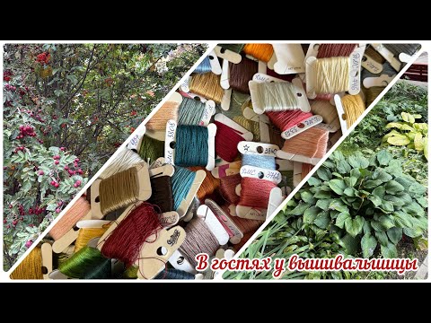 Видео: Много многоцветок и не только. В гостях у Аиды. Зеленоград  