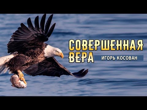 Видео: Проповедь - Совершенная вера - Игорь Косован