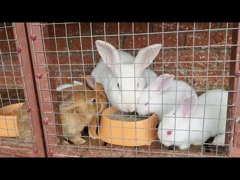 Видео: Длинное видео по вашим просьбам.