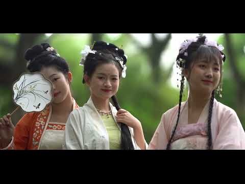 Видео: Животът от различни гледни точки