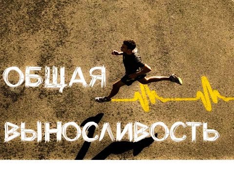 Видео: Как развить общую выносливость в спорте