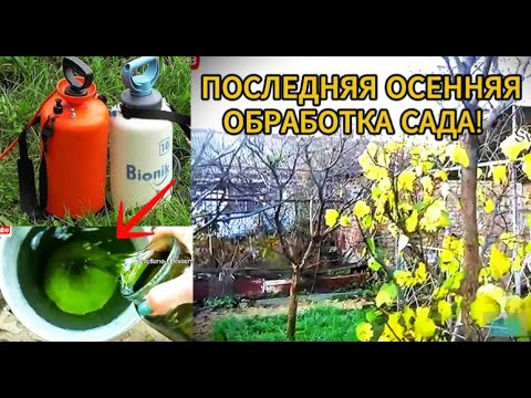 Видео: Последняя ОСЕННЯЯ обработка сада от БОЛЕЗНЕЙ и ВРЕДИТЕЛЕЙ. Дедушкин рецепт-всегда с огромным урожаем