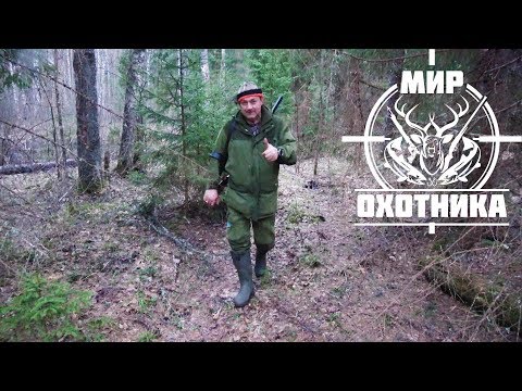 Видео: Охота #182 на глухаря, хороший ток