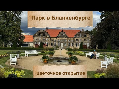 Видео: Один день из путешествия: фахверковые домики, магазинчики, посещение парка, растения-открытия 🌟