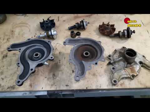 Видео: Газ 14 чайка №19  (помпа,)