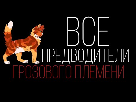 Видео: Все предводители Грозового Племени|ThesameSouth|