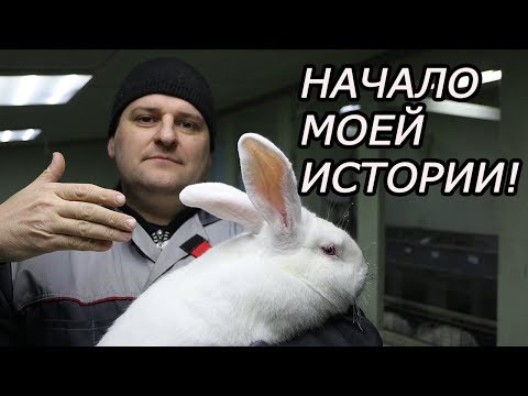 Видео: С чего все началось!