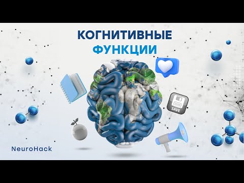 Видео: Когнитивные функции