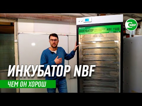 Видео: Чем хорош инкубатор NBF