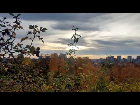 Видео: Нежные мелодии осеннего сада..30.10.1025 г 