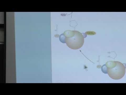 Видео: Носов А. М. - Физиология растений I - 7. Фотосинтез, минеральное питание
