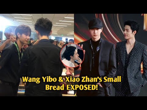 Видео: МАЛЕНЬКИЙ ХЛЕБ РАСКРЫТ! Ван Ибо и Сяо Чжань: Что произошло на самом деле?