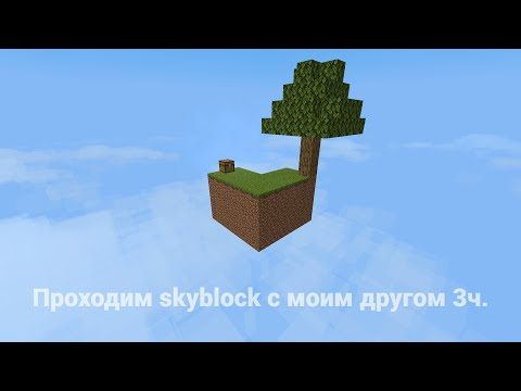 Видео: Проходим skyblock с моим другом 3ч.