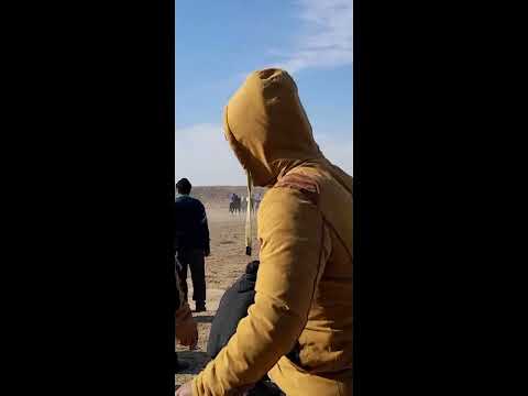 Видео: Оразжан ауылы Мақсым Айтмуратовтың Елден бата алу тойы 26.01.2025