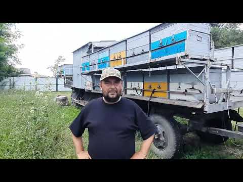 Видео: Продаём Пасеку под Ключ!!!