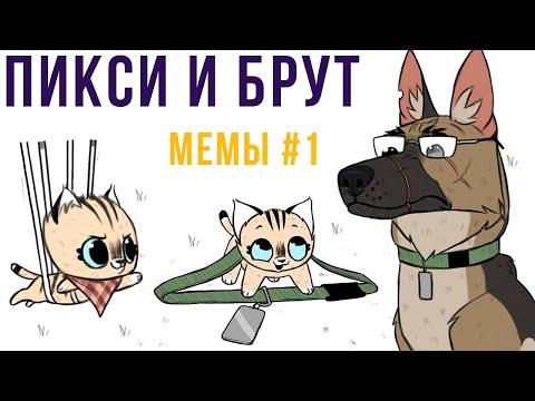 Видео: Пикси и Брут. Мемы #1 | Мемозг #364