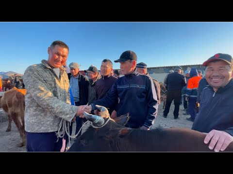 Видео: 23-АПРЕЛЬ/2025/КАРАОЗЕК МАЛ БАЗАРЫ/БУГИН АРЗАНБА?/ДЕМ БЕРМЕС МАЛ БАЗАР