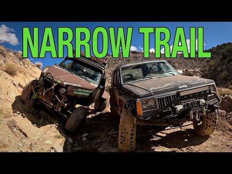 Видео: Узкая тропа становится тесной