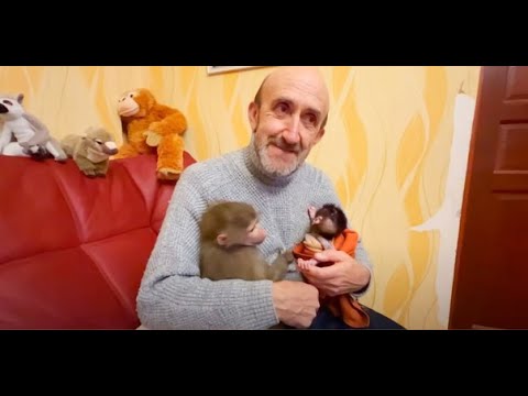 Видео: Влад с Люсей и Стёпкой на руках напоминает мне РАДИСТКУ КЭТ!