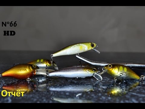 Видео: 100% Воблер делает рыбалку Jackall Tiny Fry 50SP