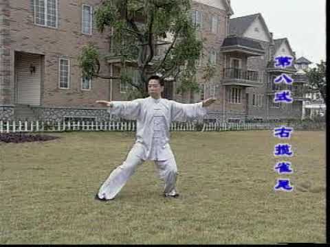 Видео: 6-9 формы медленно из Тайцзи 24 формы. Tai Chi The 24 Forms (6-9) Slow. Учебный ролик 2.2/4.