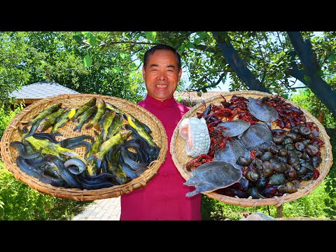 Видео: Крокодилы, золотые черепахи, желтые сомы, угадайте, что еще есть в этой кастрюле?