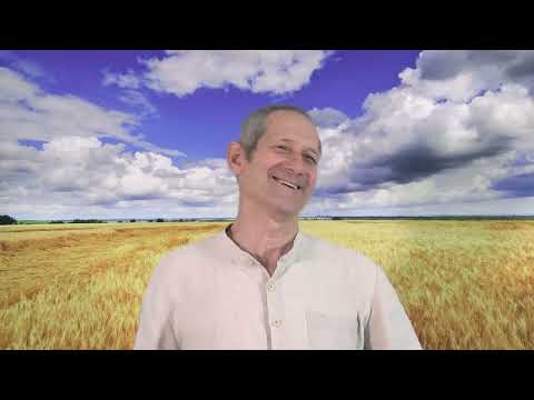 Видео: Нужная жадность