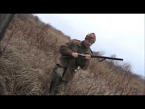 Видео: Охота с гончими на лисицу