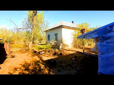 Видео: 🌿 Деревенские заботы. Живу одна на краю села