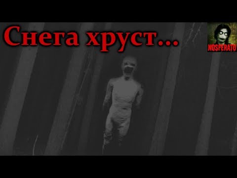 Видео: Истории на ночь - Снега хруст...
