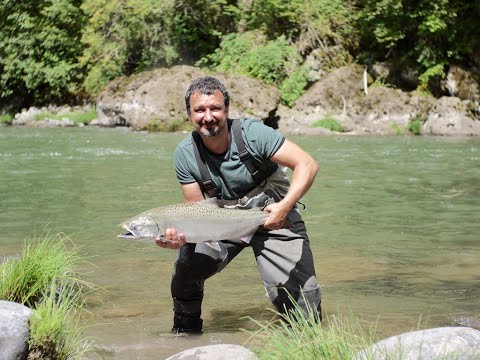 Видео: РЫБАЛКА НА ЛОСОСЬ В США, ДВЕ ДИКИХ ЧАВЫЧИ ОБРАТНО В РЕКУ И КИЖУЧ К СТОЛУ
