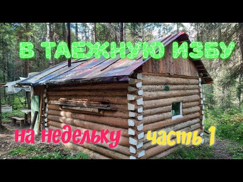 Видео: ТАЕЖНАЯ ИЗБА/РЕМОНТ ИЗБУШКИ/ТАЕЖНЫЙ БЫТ/ ЗОВ ТАЙГИ
