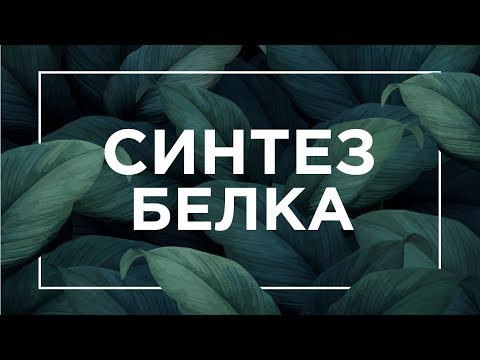 Видео: Синтез белка | ЕГЭ Биология | Даниил Дарвин