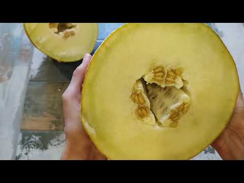 Видео: Последние дыни 2020. Поздняя дыня РАЙМОНД - вкуснее я не ела!