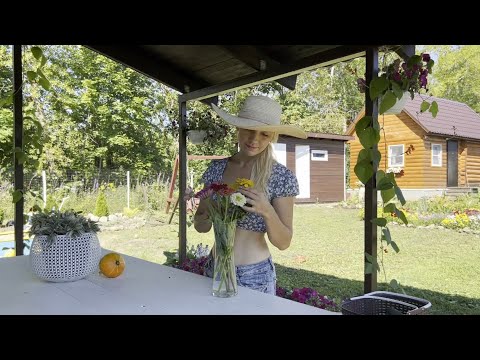 Видео: 8 СОТОК,КОНЕЦ ИЮЛЯ/ РАБОТАЕМ И СОБИРАЕМ УРОЖАЙ