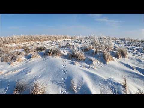 Видео: Незабываемая охота на зайца. Побег. Охота на русака 2025.