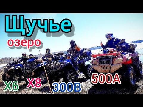 Видео: ATV 300, 500, 600, 800 рубимся в болотах! По пути в деревню "ГАЗЕТА". Stels 300b нас всех удивил!