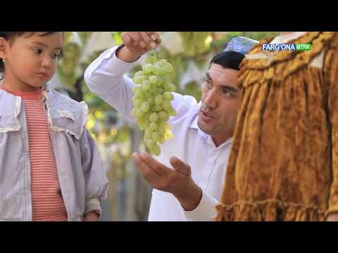 Видео: 🍇 Узумчилик билан шуғулланиш авлоддан авлодга ўтмоқда