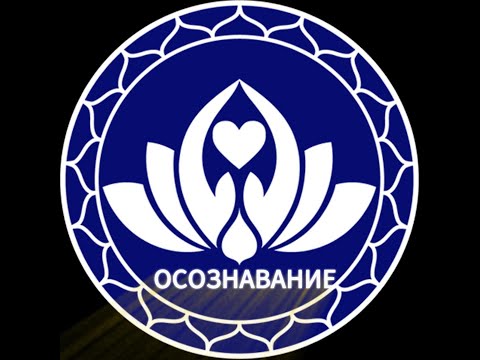 Видео: День 1