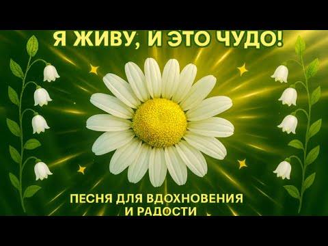 Видео: Я живу и это чудо! Песня для вдохновения и позитивного мышления!