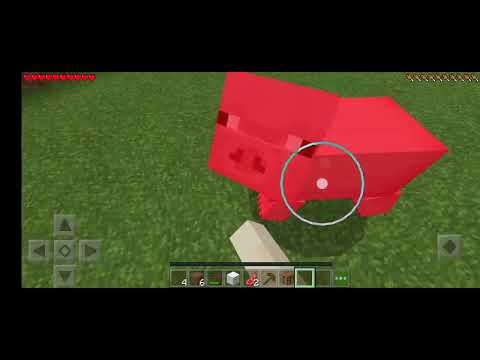 Видео: 26 октября 2025 г.