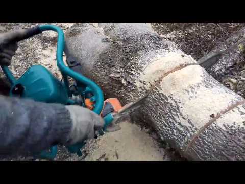 Видео: Дружба 4