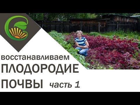 Видео: Как я сделала почву плодородной, 1 часть.