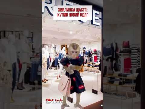 Видео: А через какие стадии ви проходили в Польше? Пишите в коментарях ☺️👇 #польскийязык #jezykpolski